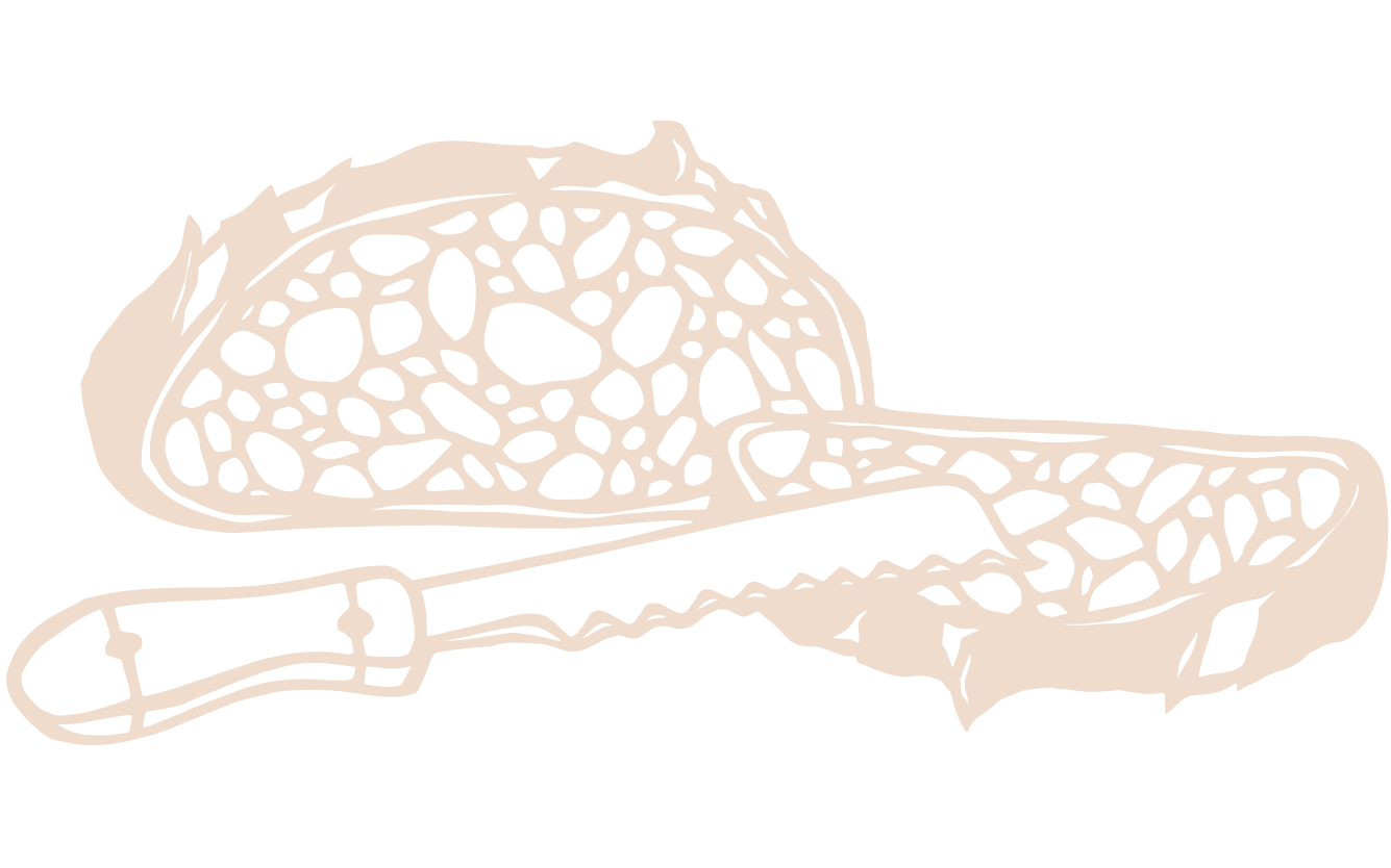 Joy of Cooking illustration