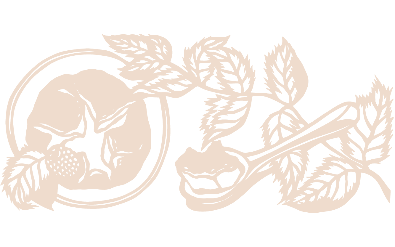 Joy of Cooking illustration