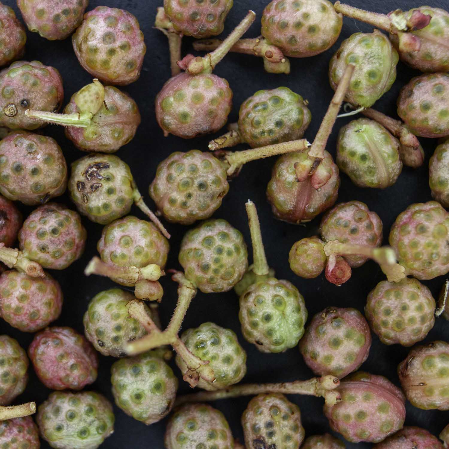 Macro image of fresh Sichuan pepper.
