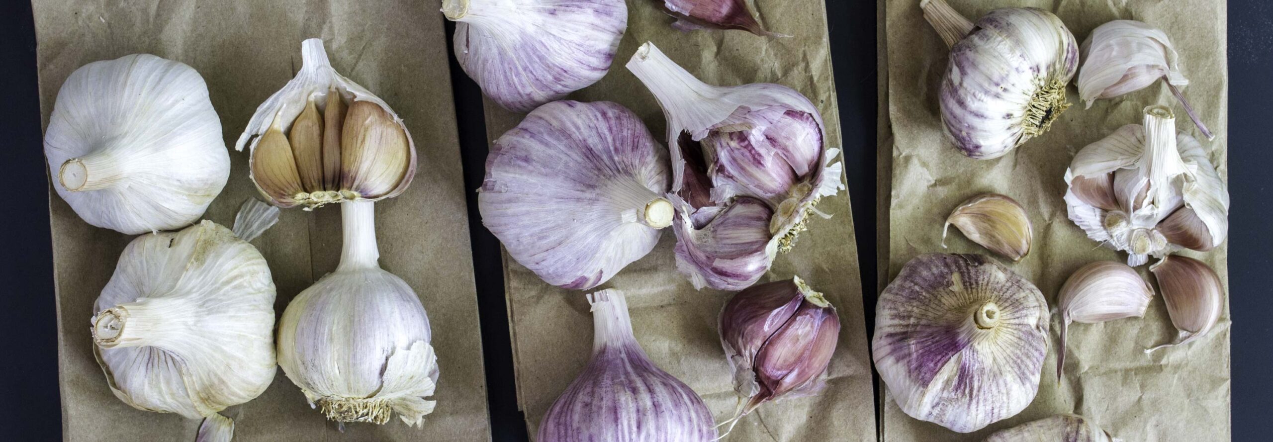 Several types of hard neck garlic bulbs, laid out on folded craft paper bags. Some bulbs have been broken up to reveal the purple striped cloves inside.